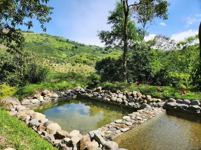 a small pool of water with rocks around it at Eco-paradise in coffee heartland in Marulanda