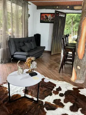 a living room with a couch and a table at Entre pinos in Chiquinquirá