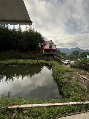 a house with a pond in front of a house at Entre pinos in Chiquinquirá