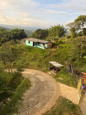 a house on top of a hill with a road at Entre pinos in Chiquinquirá