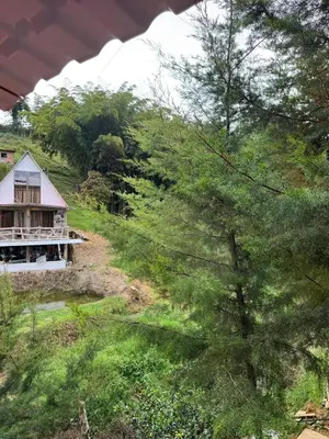 a house on the side of a hill with trees at Entre pinos in Chiquinquirá