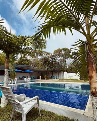 a swimming pool with a chair and a palm tree at Vía las palmas in Victoria