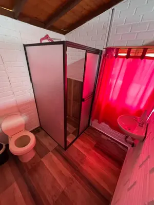 a bathroom with a shower and a toilet and a sink at Vía las palmas in Victoria