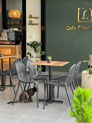 a dog sitting under a table and chairs at The Living Hub in La Dorada