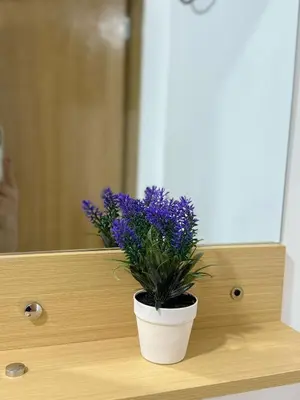 a plant in a white pot on a wooden shelf at Casa Bendita - Apto 101 in Medellín