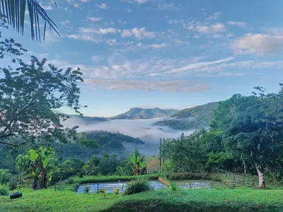 a view of a misty valley with mountains and trees at Cabanas ecologicas con vista espectacular y cascada privada - Finca Qawana Ecolodge en San Carlos
