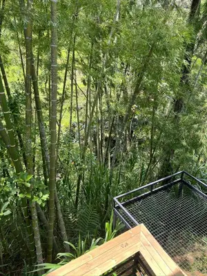a bird cage in a forest with trees at Vip cabaña vista verde in Cocorná