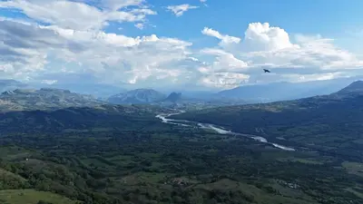 a bird flying over a valley with a river at Rurals Casa in Marsella