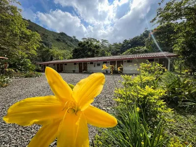 a yellow flower in front of a house at Las Tangaras Reserve