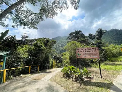 a sign on a road with a mountain in the background at Las Tangaras Reserve
