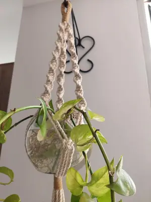 a plant in a vase with a hanging light at Apartment 202 Garden Shelter - 10 min to Balandú Park in Jardin