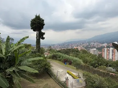 a tree on a hill with a city in the background at AMAZING EL POBLADO VIEWs-MODERN VILLA in Envigado