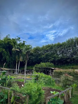 a garden with a fence and trees in the background at Villa Amparo Casa Finca in Rionegro