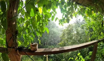 a hammock with a view of a forest at Familia Verde Eco Hostal in San Carlos