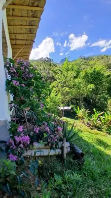 a garden with purple flowers in the grass at Familia Verde Eco Hostal in San Carlos