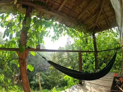 a hammock hanging from a roof in a tree at Familia Verde Eco Hostal in San Carlos