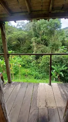 a wooden porch with a view of a forest at Familia Verde Eco Hostal in San Carlos