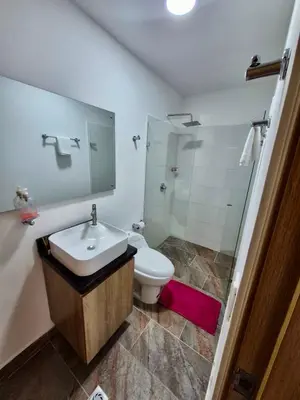 a bathroom with a sink and a toilet and a shower at Apartamento Oasis in Sopetran