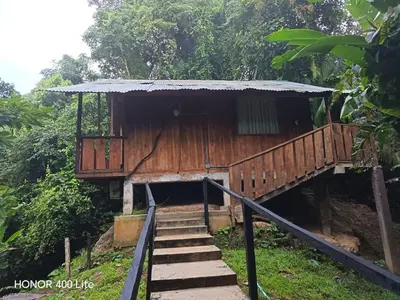 a wooden house with stairs leading to it at Reserva El Paujil in Puerto Boyacá
