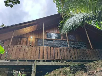 a wooden house with a palm tree in front of it at Reserva El Paujil in Puerto Boyacá
