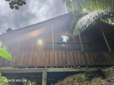 a house with a wooden fence and a palm tree at Reserva El Paujil in Puerto Boyacá