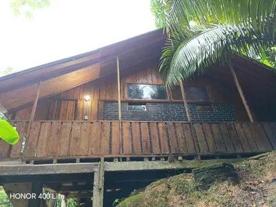 a wooden house with a palm tree in front of it at Reserva El Paujil in Puerto Boyacá