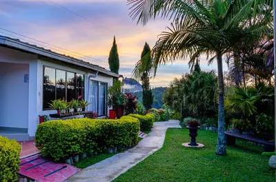 a house with a palm tree and a garden at Hotel Campestre Santa M de las Aguas in Guatapé