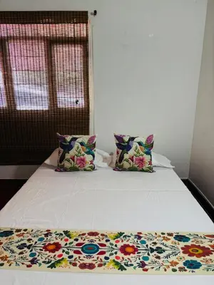 a bed with two pillows in a room at Casa Olivia in Honda