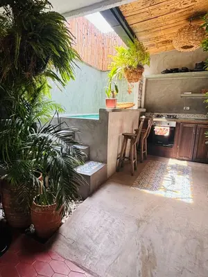 an outdoor kitchen with potted plants and a stove at Casa Olivia in Honda