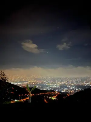 a city at night with a palm tree on a hill at Villa with Spectacular Medellin View with Pool and Mini Basket-Futbol Field in Medellín
