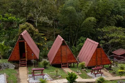a group of small houses with benches and trees at Finca Las Palmas - San Luis in San Luis