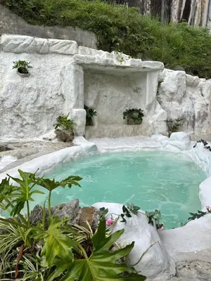 a small pool of water with plants in it at templo de piedra refugio espiritual in Guatapé