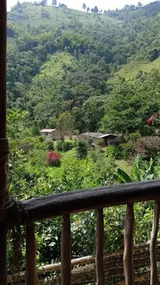 a view of auliculiculiculiculiculiculiculiculiculiculiculic at La Rana Azul - Hospedaje rural in Manizales