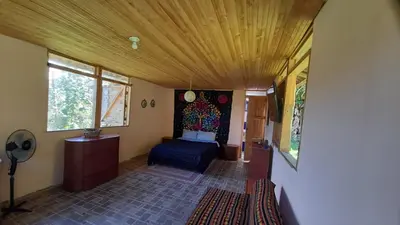 a bedroom with a blue bed and a wooden ceiling at La Rana Azul - Hospedaje rural in Manizales