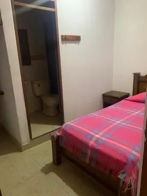 a bedroom with a bed and a mirror and a toilet at Casa Hotel La Cascada