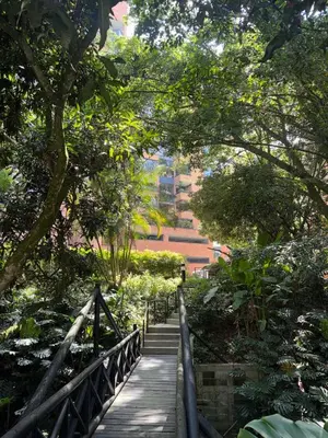 a wooden bridge in a park with trees and stairs at Penthouse Rio Claro 1002 in Medellín
