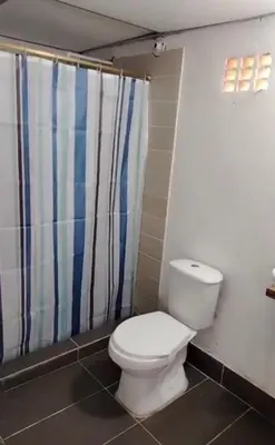 a bathroom with a toilet and a shower curtain at Refugio de Sueños in San Rafael