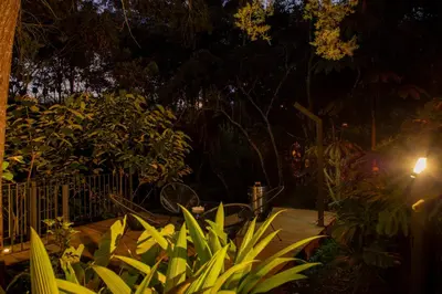 a garden with plants and a fence at night at Selvva suites cabaña de lujo romántica con jacuzzi in Rionegro