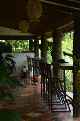a patio with chairs and a table and trees at Selvática Ecohotel y Centro Holístico in San Carlos