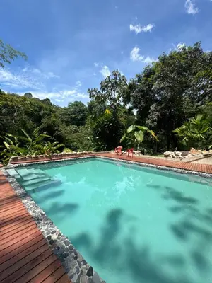 a large swimming pool on a wooden deck at Selvática Ecohotel y Centro Holístico in San Carlos
