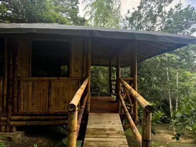 a wooden bridge leading to a hut in the woods at Selvática Ecohotel y Centro Holístico in San Carlos