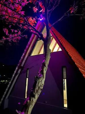a tree in front of a building with purple lights at Kamalú Glamping in Medellín