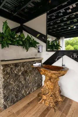 a stone sink in a room with plants at Hotel Elixer Habitat in Santa Rosa de Cabal