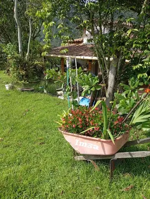 a garden with a pot of flowers next to a tree at La Luna cabin in Amagá