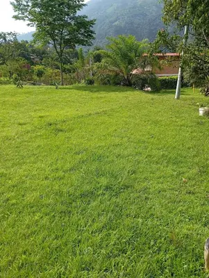 a field of green grass with a mountain in the background at La Luna cabin in Amagá