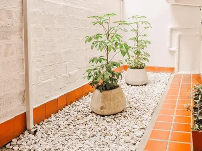 two potted plants sitting on rocks in a room at La Jaus by Hope in Guatapé