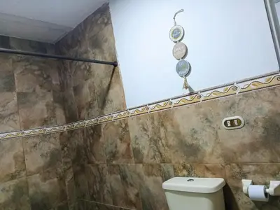 a bathroom with a toilet and a shower at El Palmar Lodge in Chiquinquirá