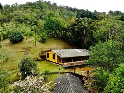 a small yellow house in the middle of a forest at Casa del Río San Rafael in San Rafael