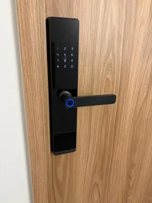 a black door handle on a wooden door at Apartamento Laureles in Medellín