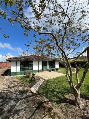 a house with a tree in front of it at Spacious Cabin with Garden and Lake Access, Guatapé in Guatapé